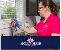 how much does molly maid pay per hour