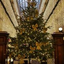 House of Fraser photo of: Our gorgeous Christmas tree is up in the Glasgow store