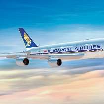 Singapore Airlines photo of: Airbus