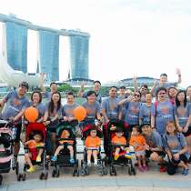 Illumina photo of: Singapore Volunteer Walk