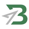 Logotipo da BashleeNG