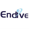Endive Software-logo
