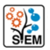 Stemtree Logo