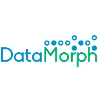 Data Morph Solutions-logo