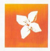 Logotipo de Banco BPI