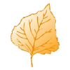 Goldleaf Development Logo
