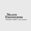 Nelson Engineering-logo
