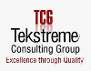 Tekstreme Consulting Group-logo