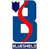 Blueshield Computers-logo