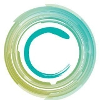 Logotipo de Conceptions Florida