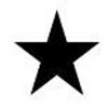 Starr Solutions Logo