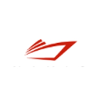 NAVIS Logo