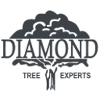 Diamond Tree Experts Logo