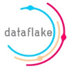 Dataflake-logo
