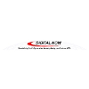 Digital Now Logo