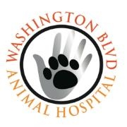 Working at Washington Boulevard Animal Hospital | Glassdoor